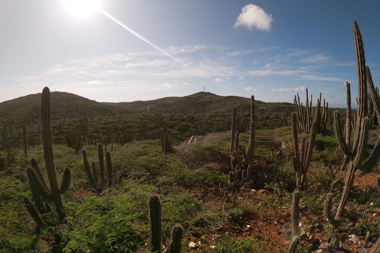 A beautiful landscape in Aruba's National Park