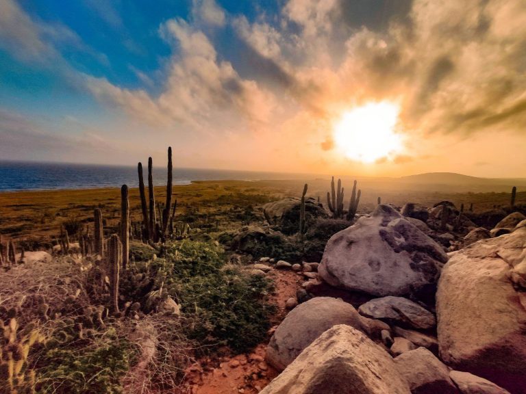 View from a hidden rock formation in Aruba